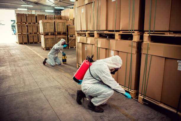 Best Pest Prevention Services  in Hazel Park, MI