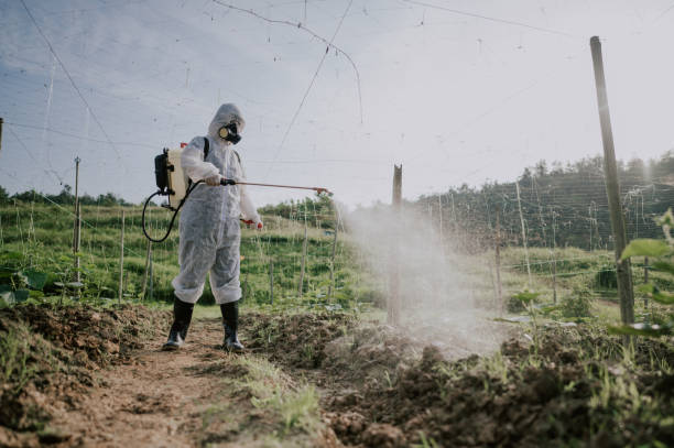 Best Commercial Pest Control Services  in Hazel Park, MI