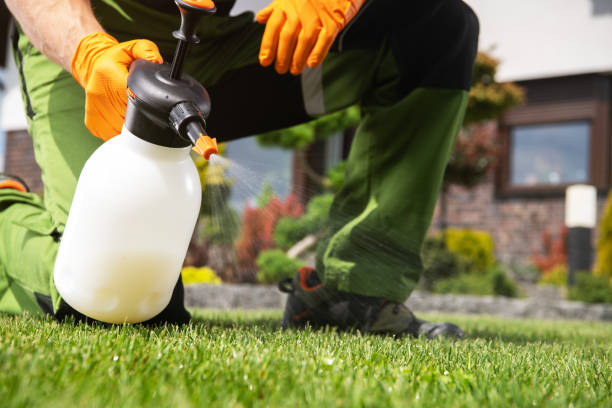 Best Insect Control  in Hazel Park, MI