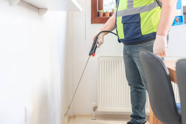 Best Wasp Removal Services  in Hazel Park, MI