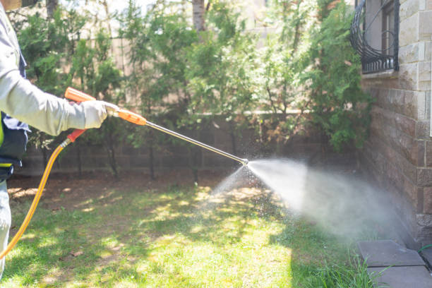 Best Pest Control for Restaurants  in Hazel Park, MI