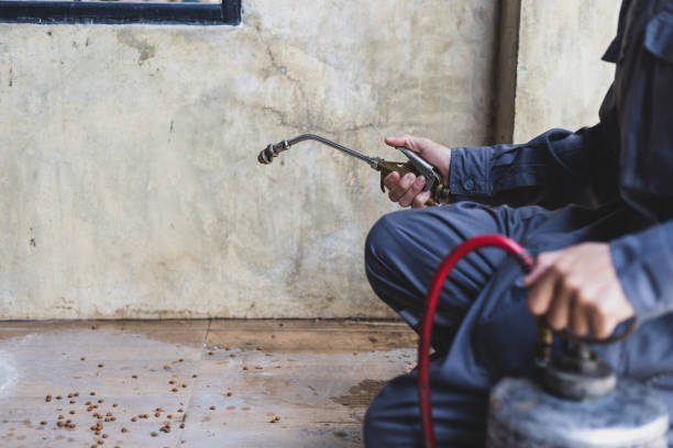 Best Pest Control Treatment  in Hazel Park, MI